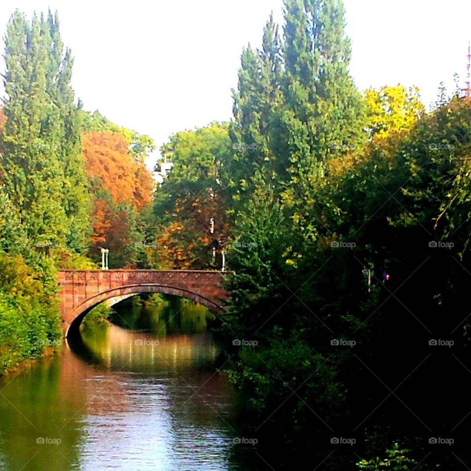 bridge in nature. beautiful small bridge in Strasbourg, France