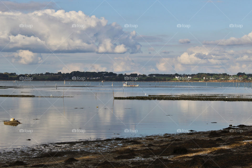 Sunlight over the sea