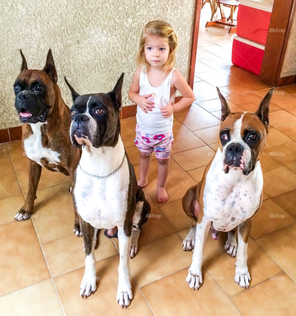 Children and dogs