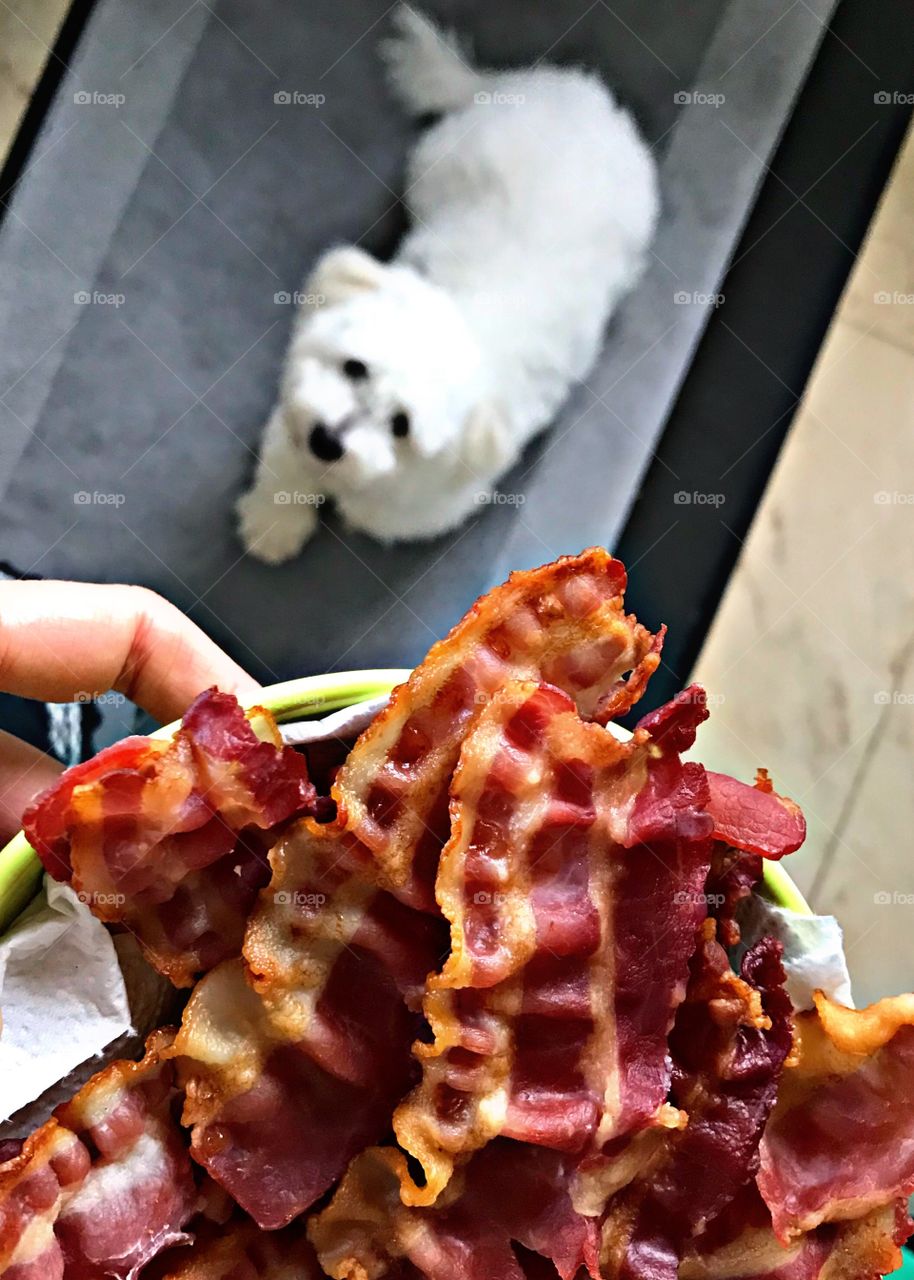 Bacon