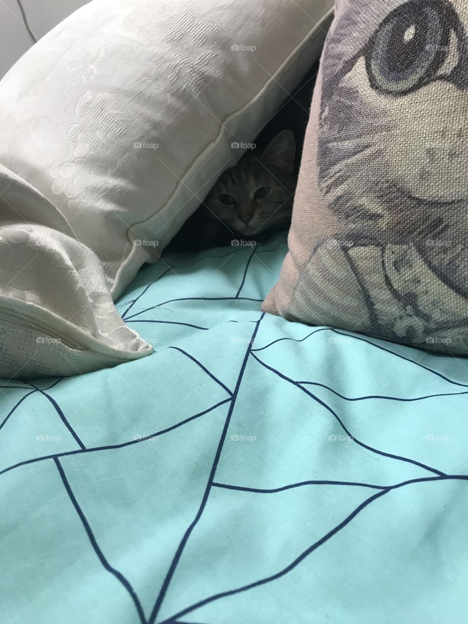 Hiding under all the pillows 