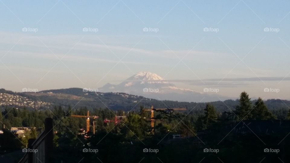 rainier