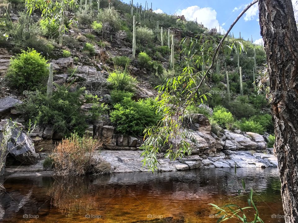 Nature Mountain Landscape - Sabino Canyon in Tucson, Arizona 