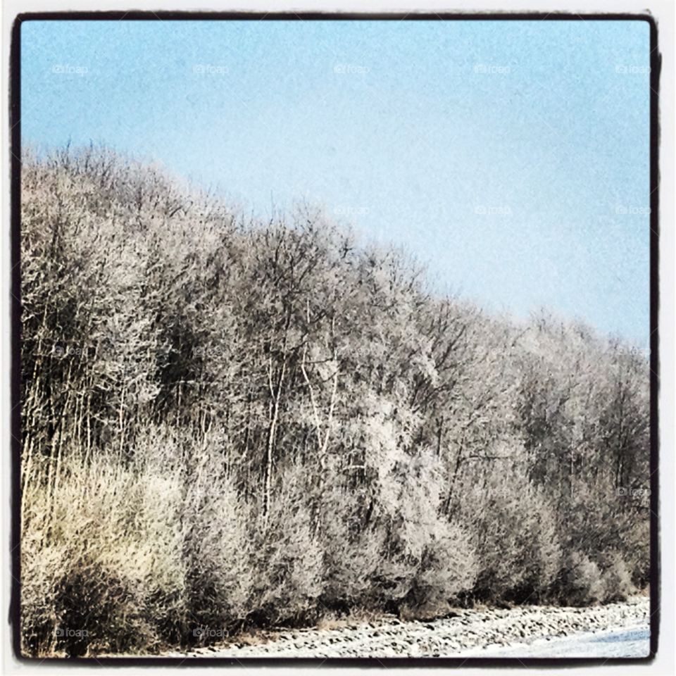 snow winter trees highway by Nietje70