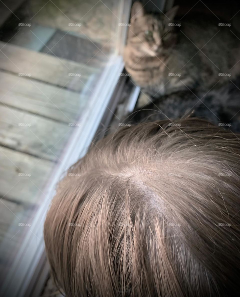 Girl Looking Out The Door Window With The Cats. Photo Taken From High Angle.