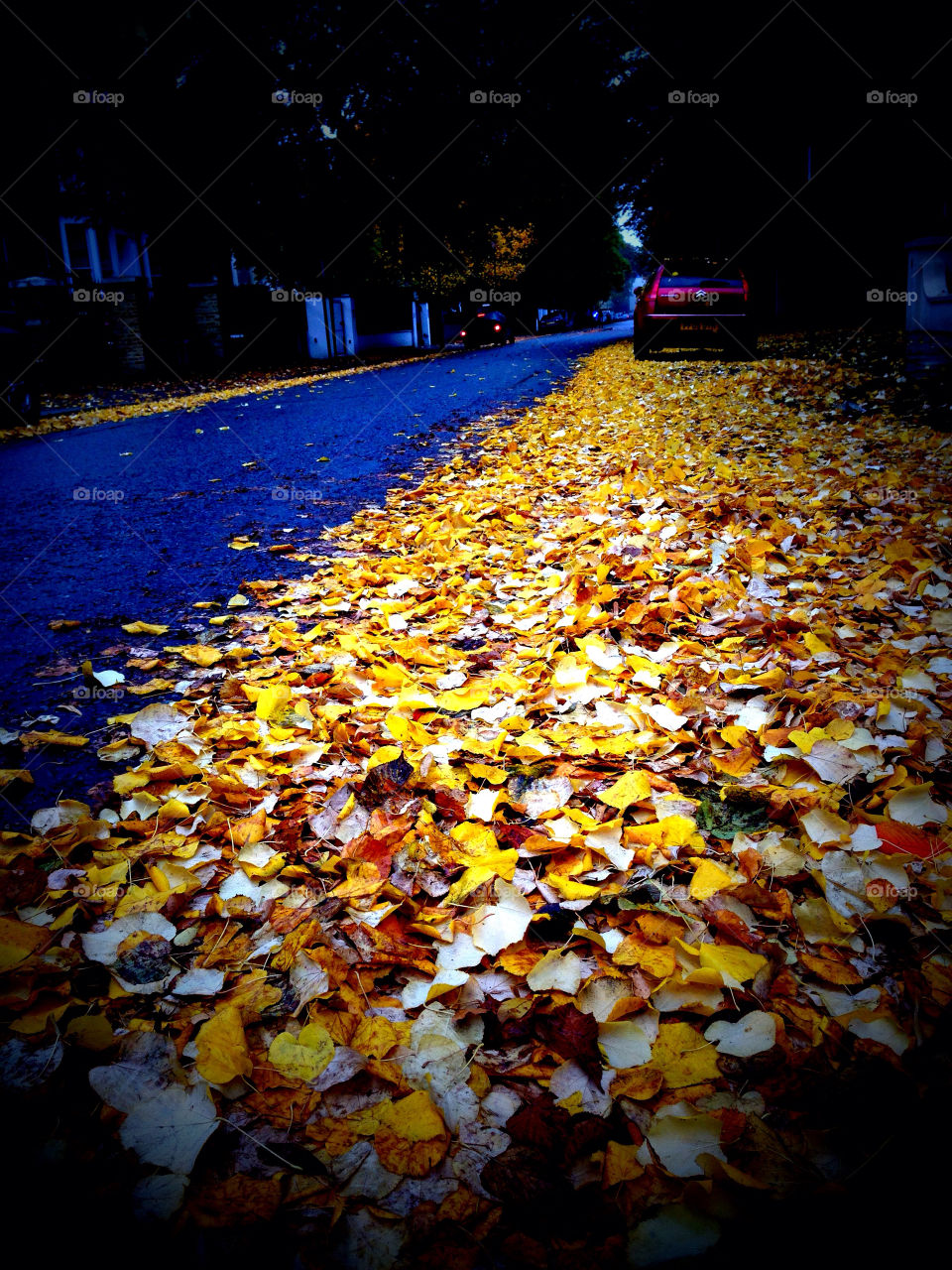 mission5 yalia london street golden autumn leaves by kikicheeky