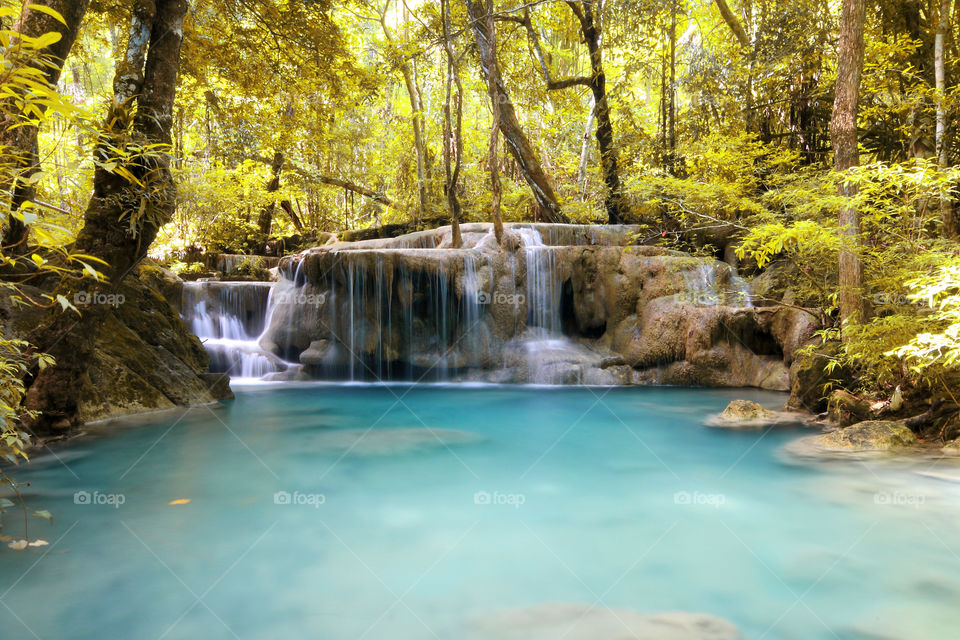 waterfall in golden forest. nice waterfall in golden forest