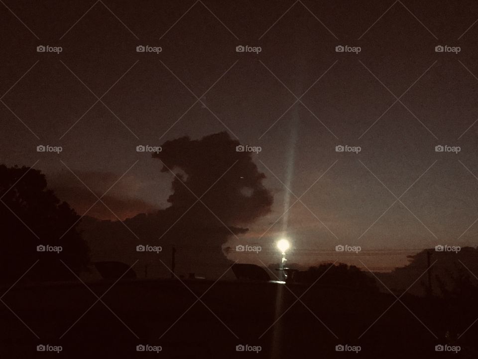 Lightbulb has no bearing on this pic. I see cloud Figure, eyes, Head, pony tail, neck, nose, Mouth. 