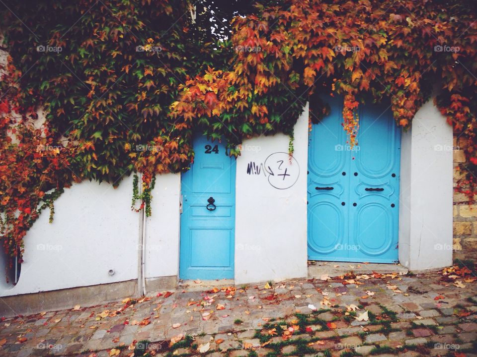 House, Architecture, Door, No Person, Family