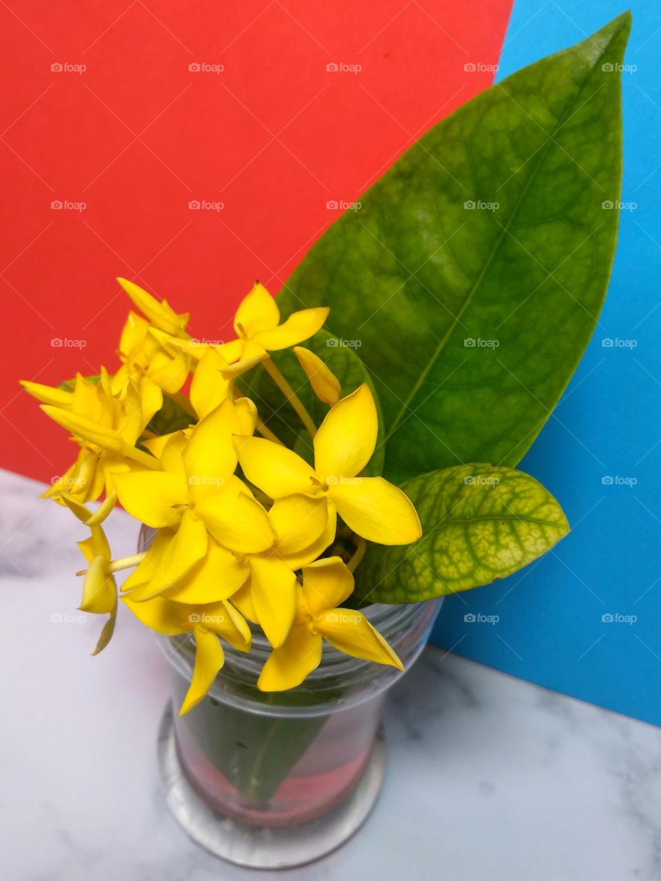 Yellow flowers on vase