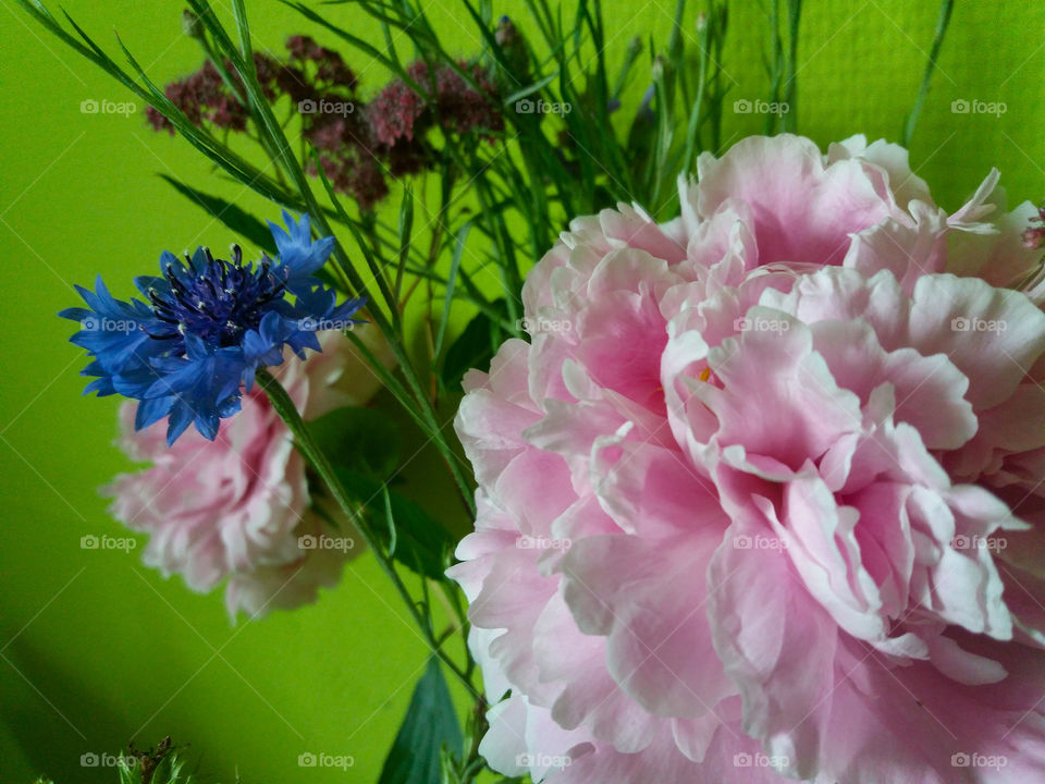 garden bouquet of flowers