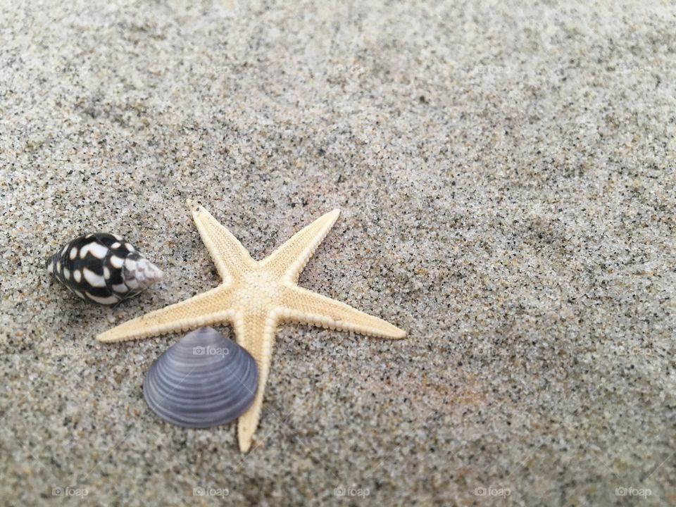 Beach treasure 