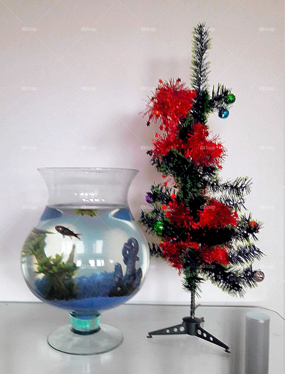 Gray's Christmas tree