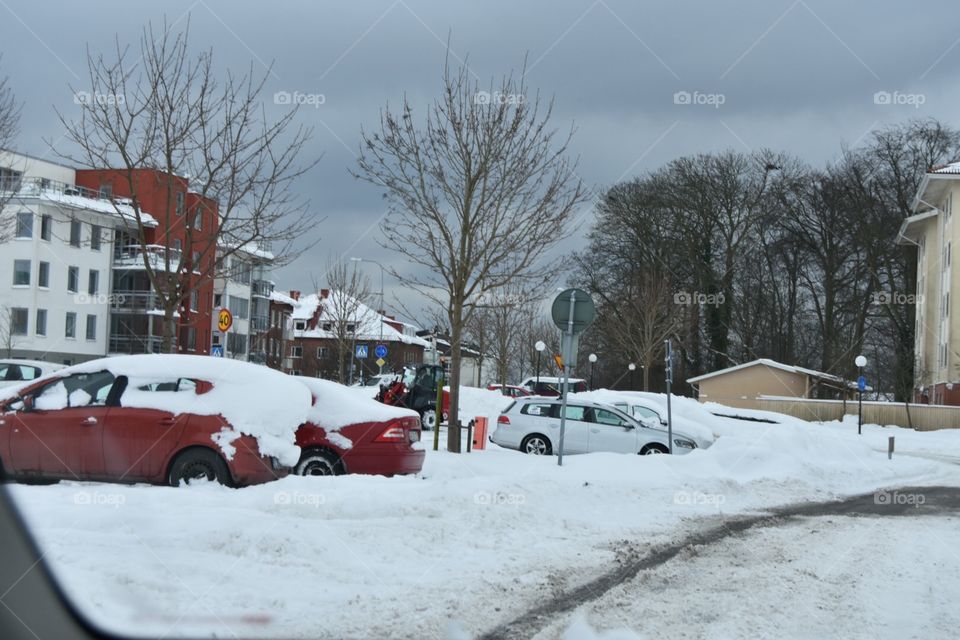 Snow, Winter, Cold, Weather, Frozen