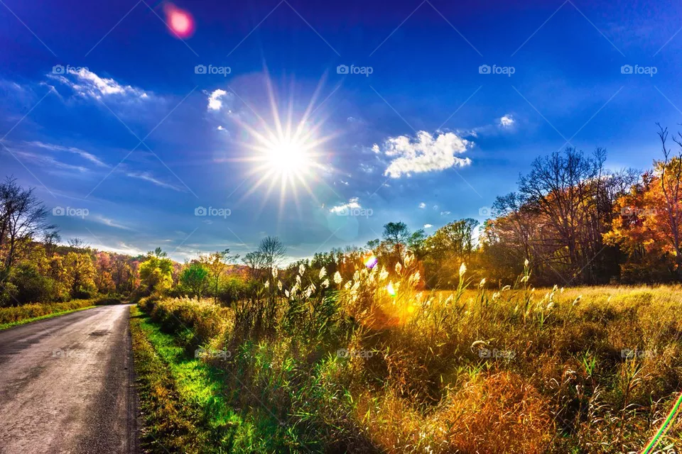 landscape