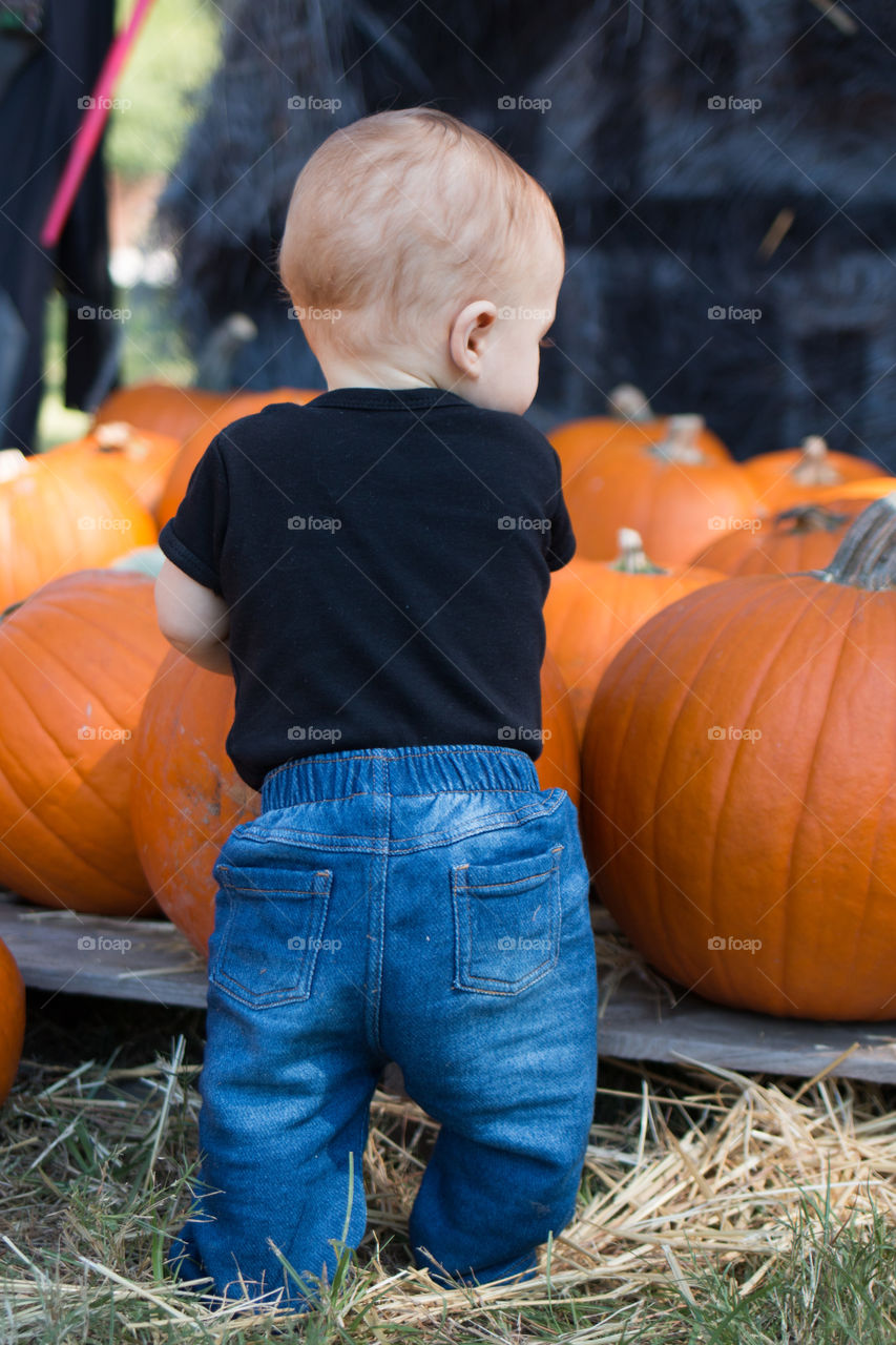 Rear view of a boy standing near pumpkins