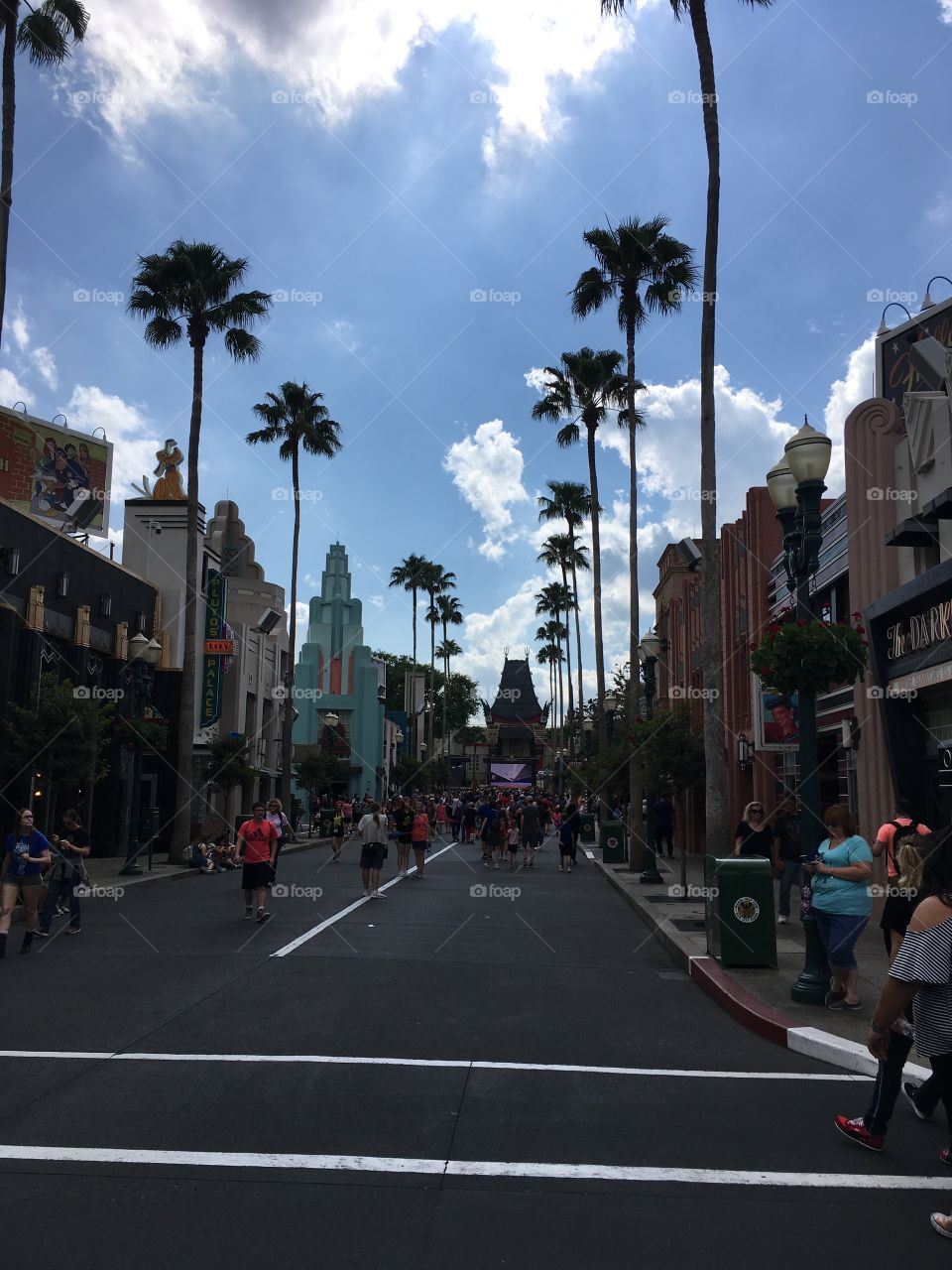 Roaming the streets of Disney Land 