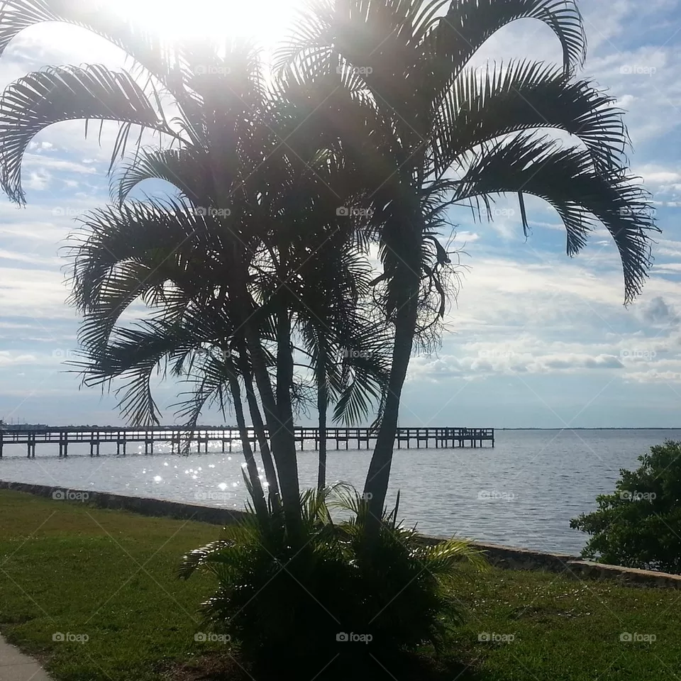 Paradise