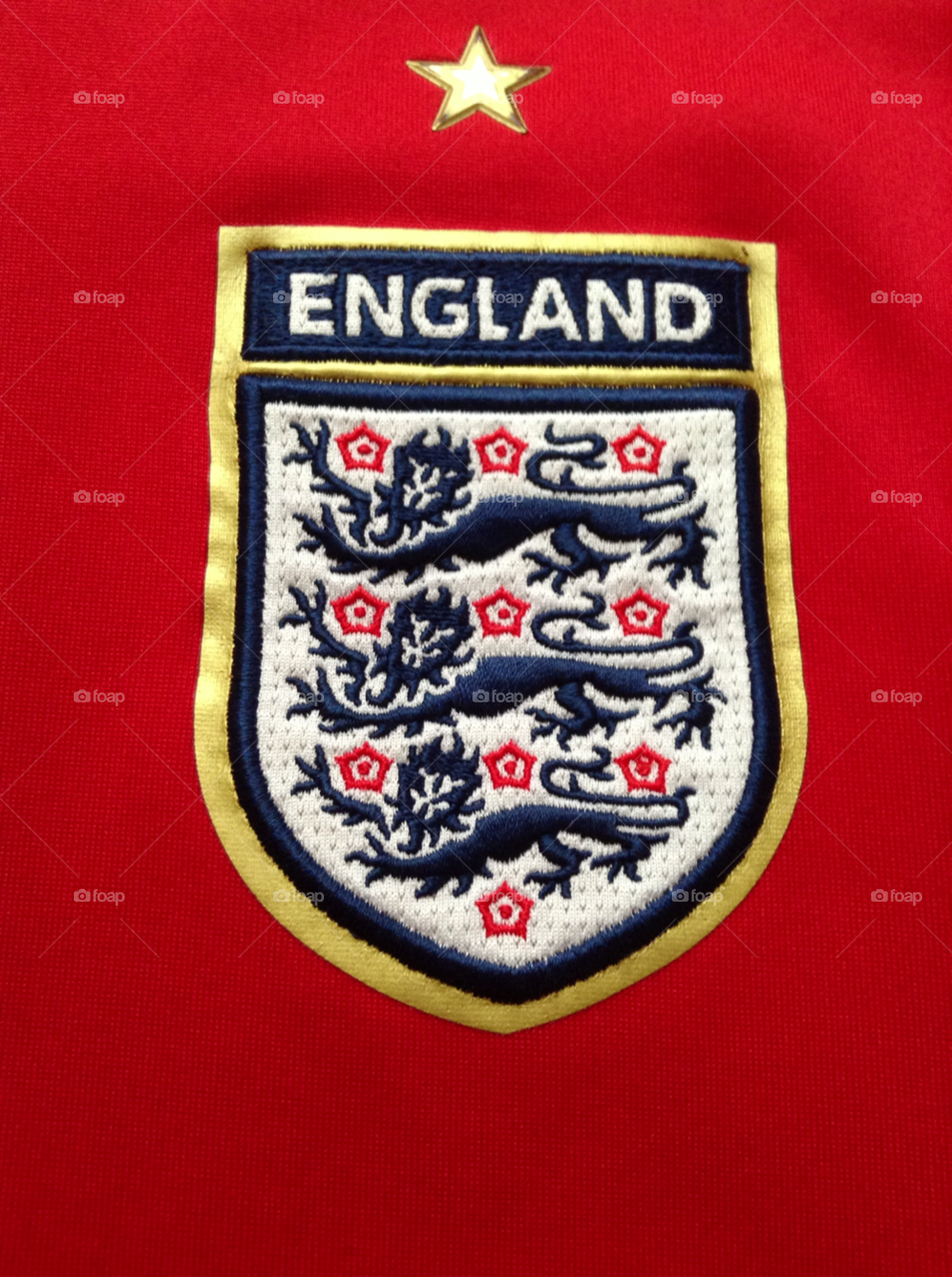 gold red three lions white by quizknight