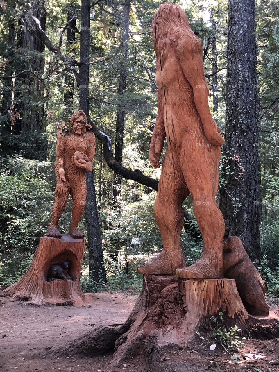 Sasquatch and Big Foot