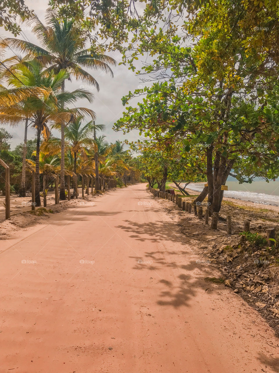  Cumuruxatiba Bahia Brasil 🇧🇷