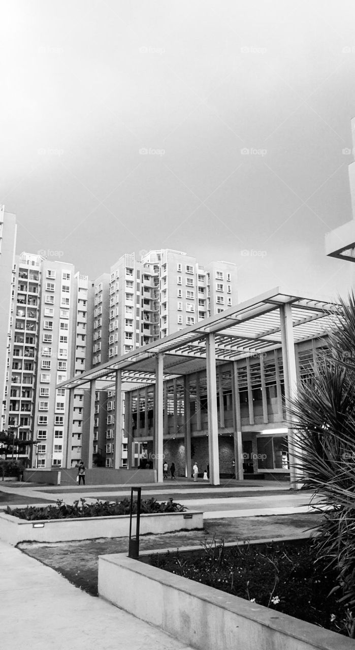 Great architecture in black and white 