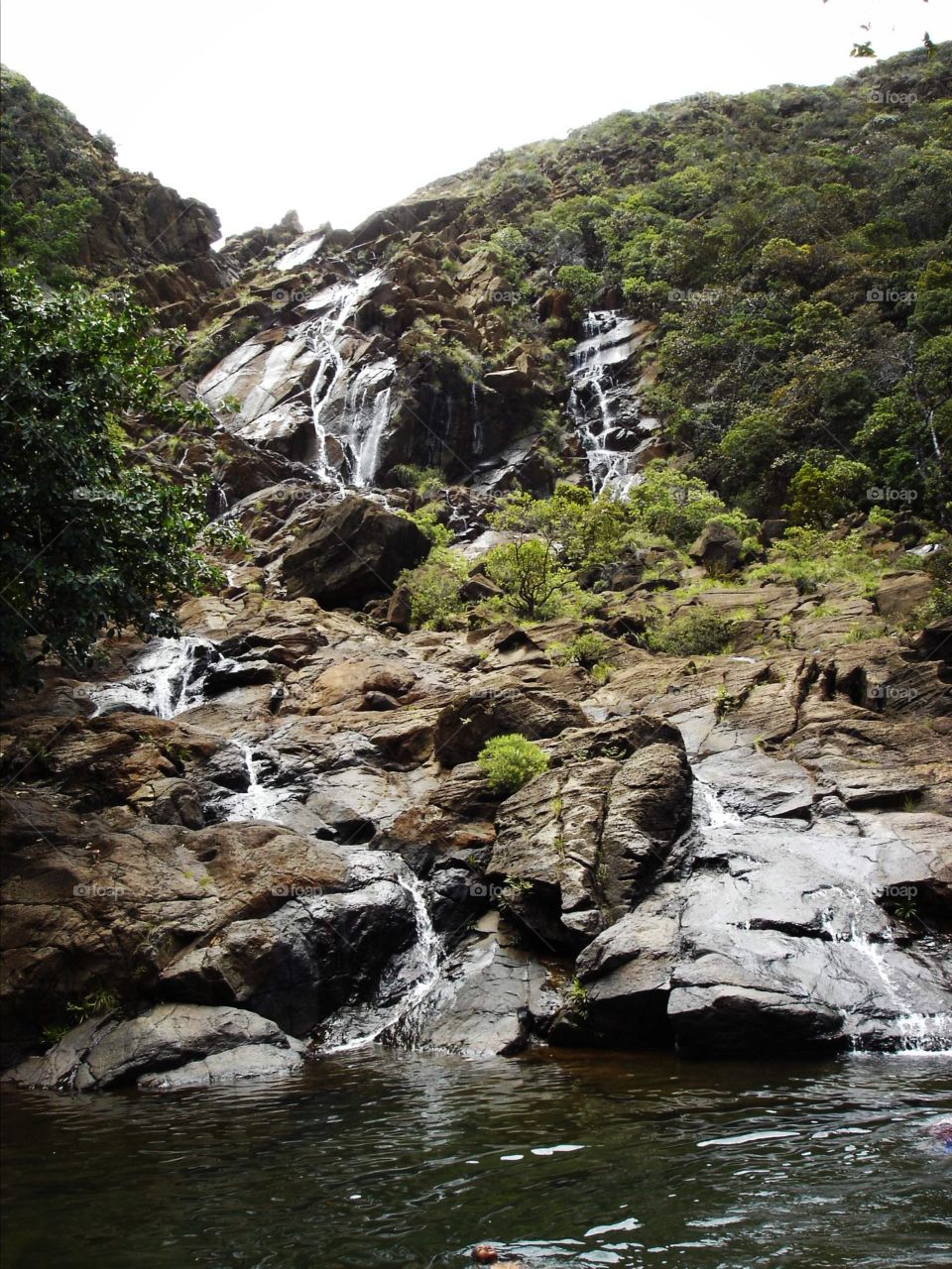 Nature fnew Caledonia fall