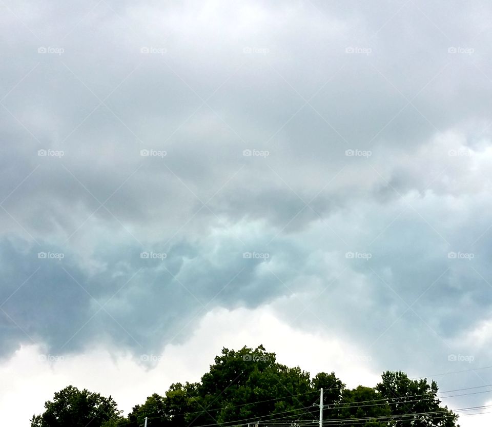Tree-Storm Cloud Coordination