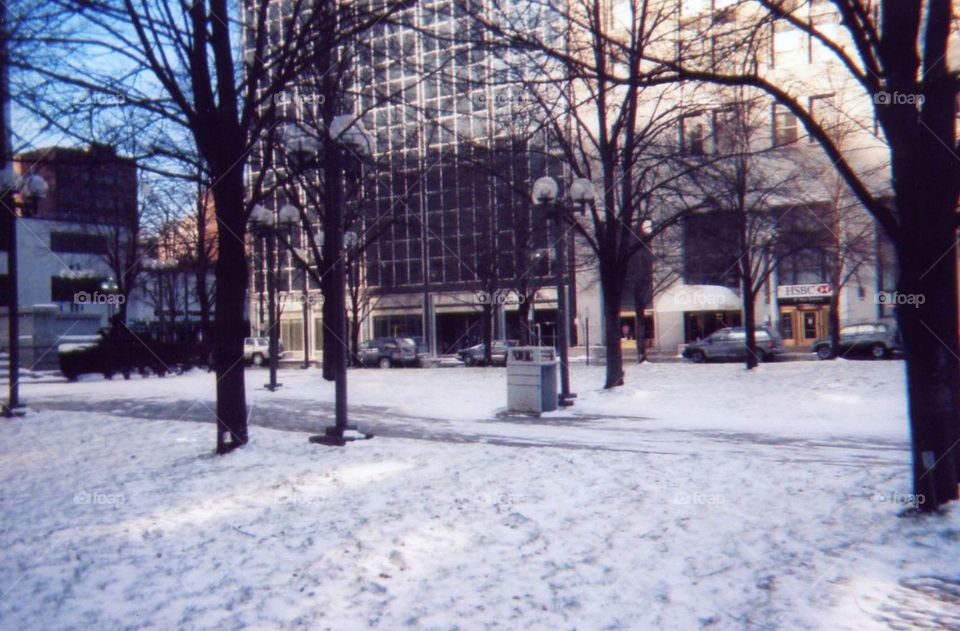 Buffalo New York Winter Snow