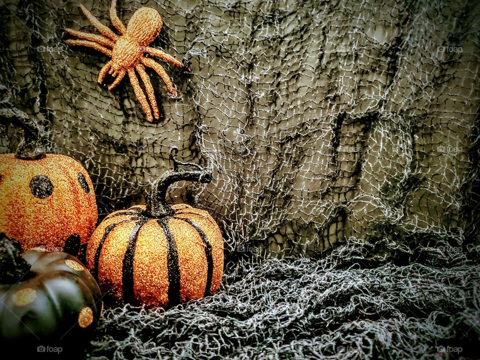 Halloween decorations pumpkins and a spider on black netting