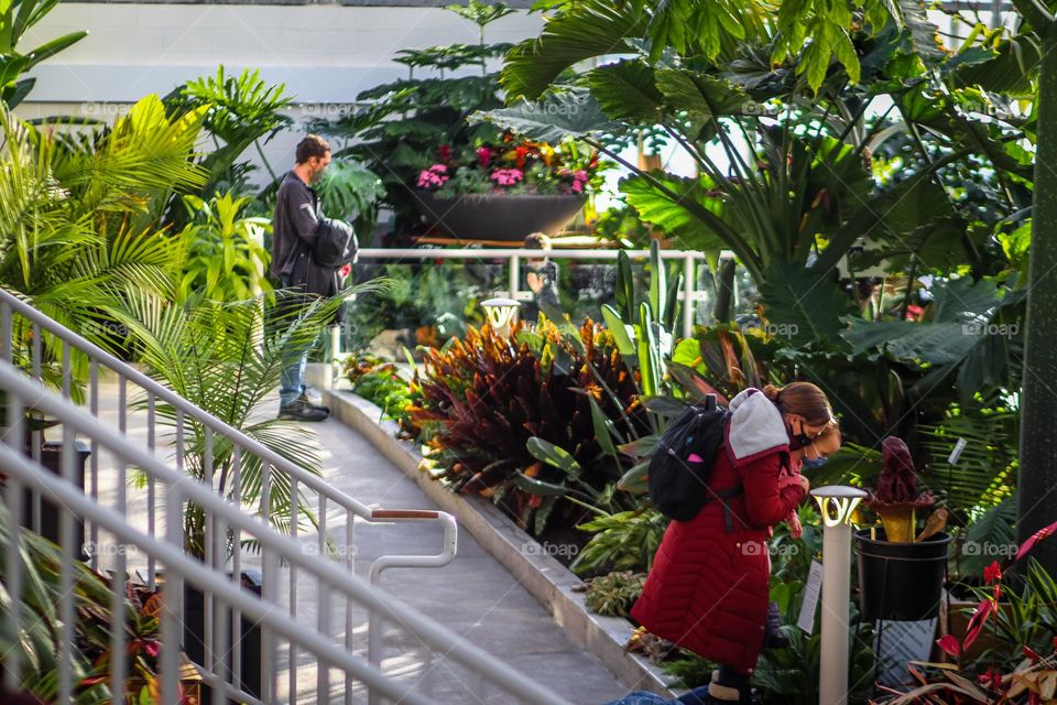 Gorgeous greenhouse