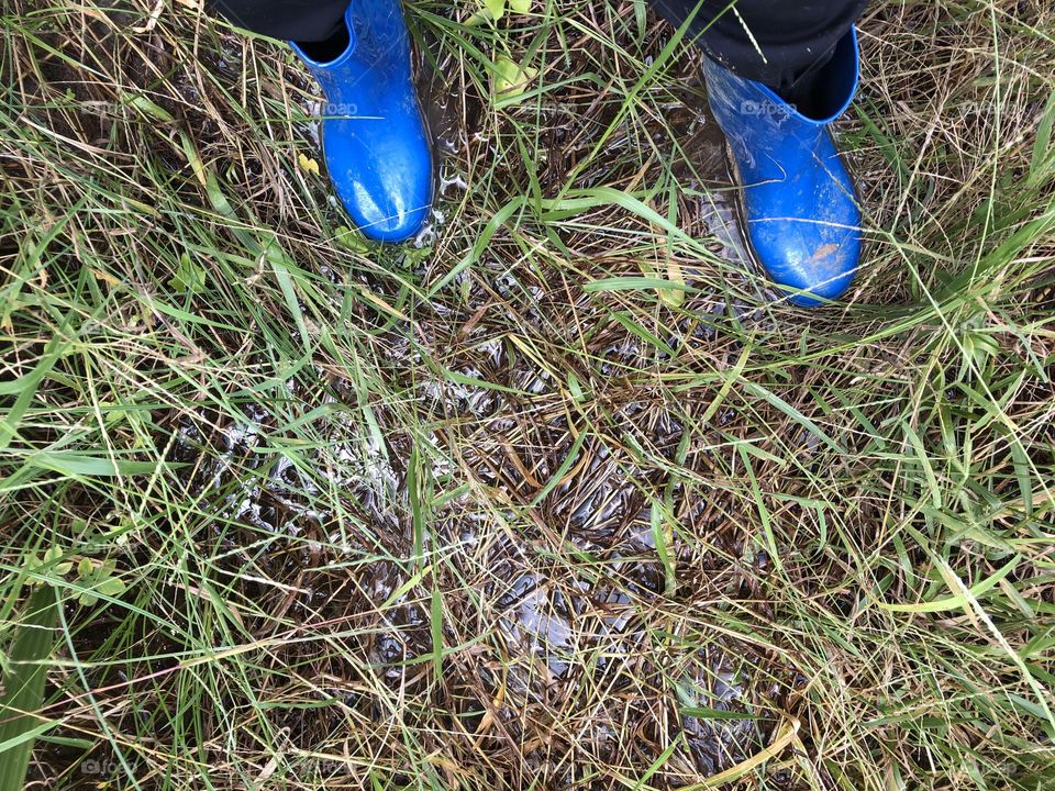 The signs of raining,my garden ( Countryside)