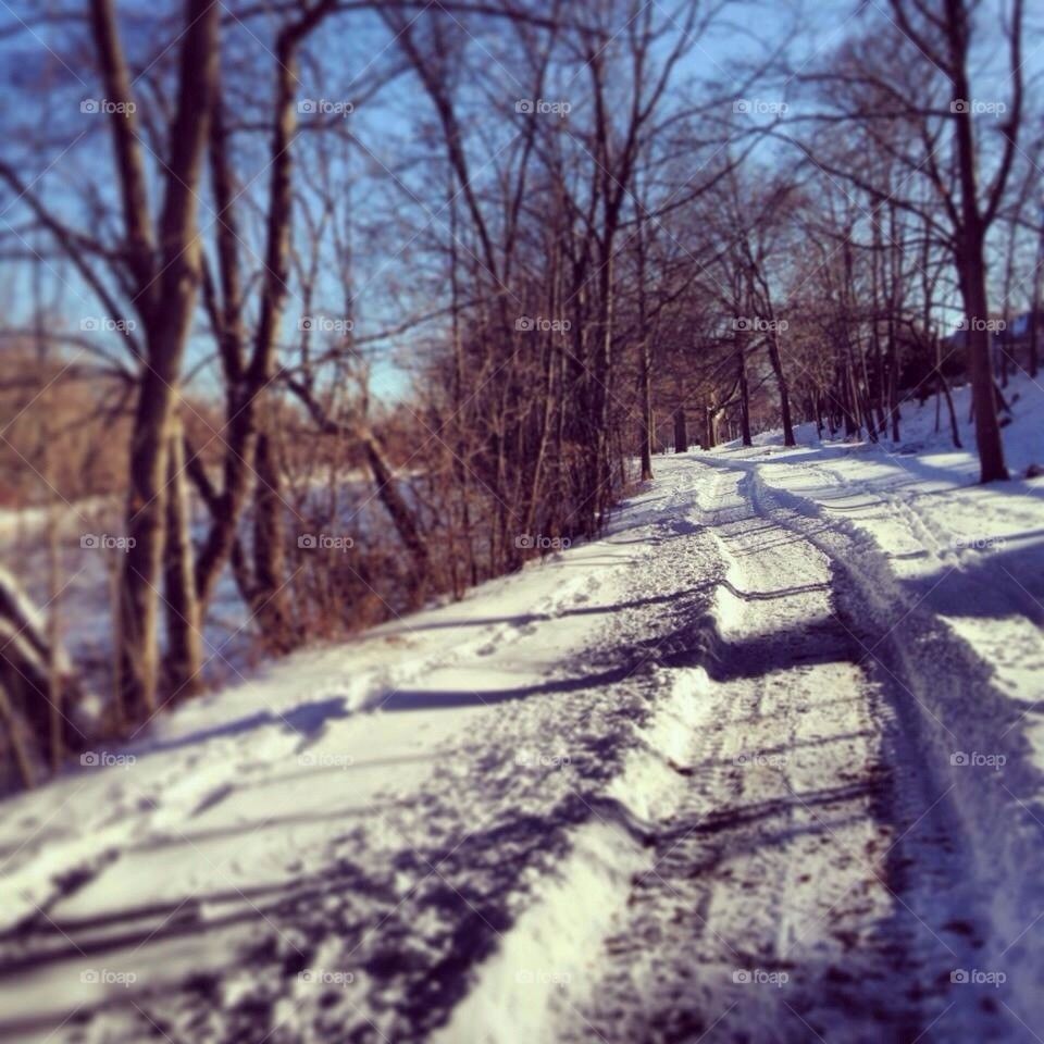 Winter trails 