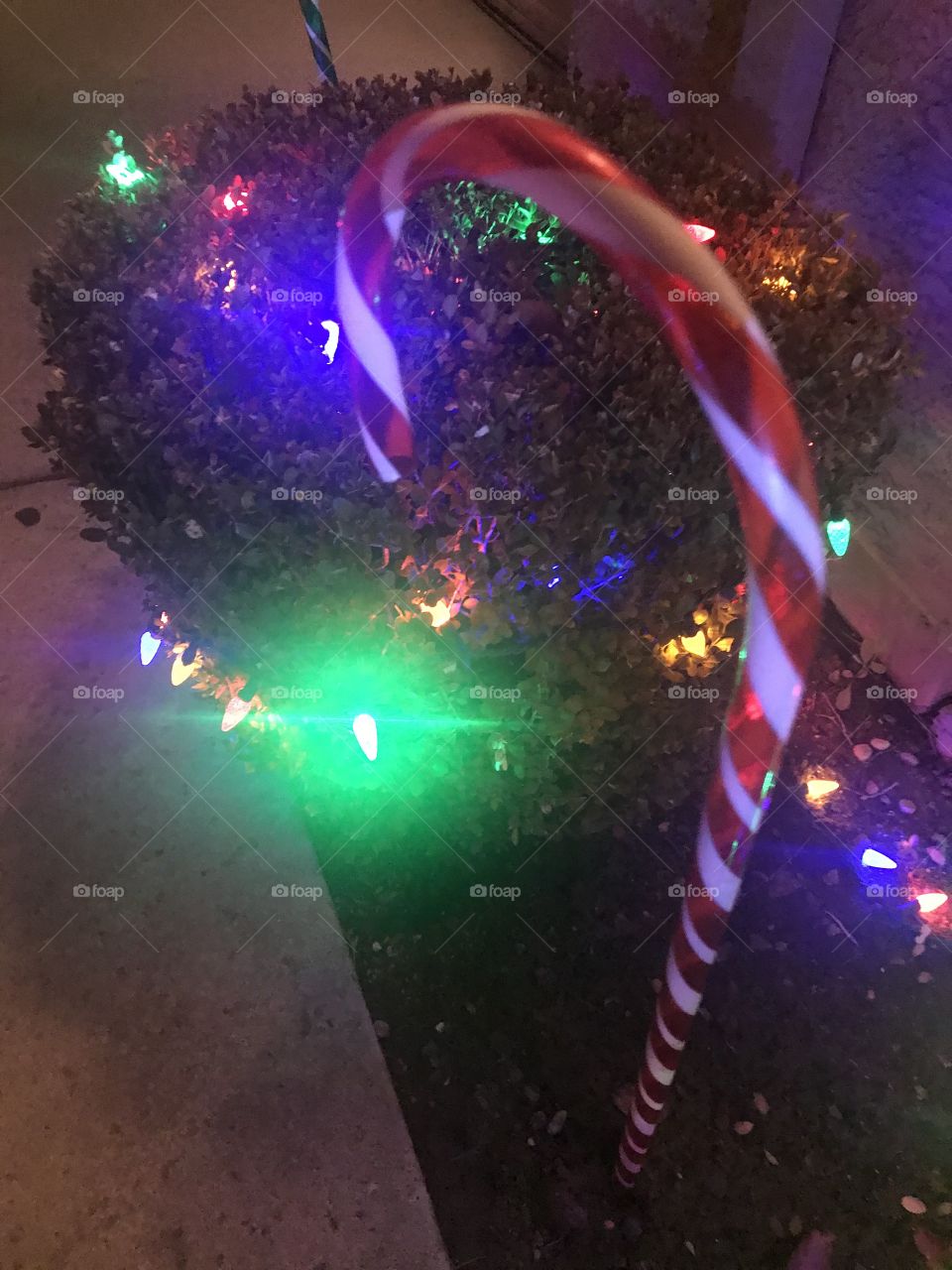A big stripes colorful Candy cane with twinkling Christmas and holiday lights glowing in the dark winters night. USA, America