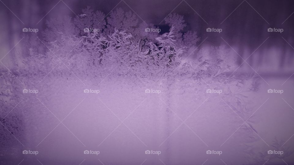 snow flakes on the window with a purple background