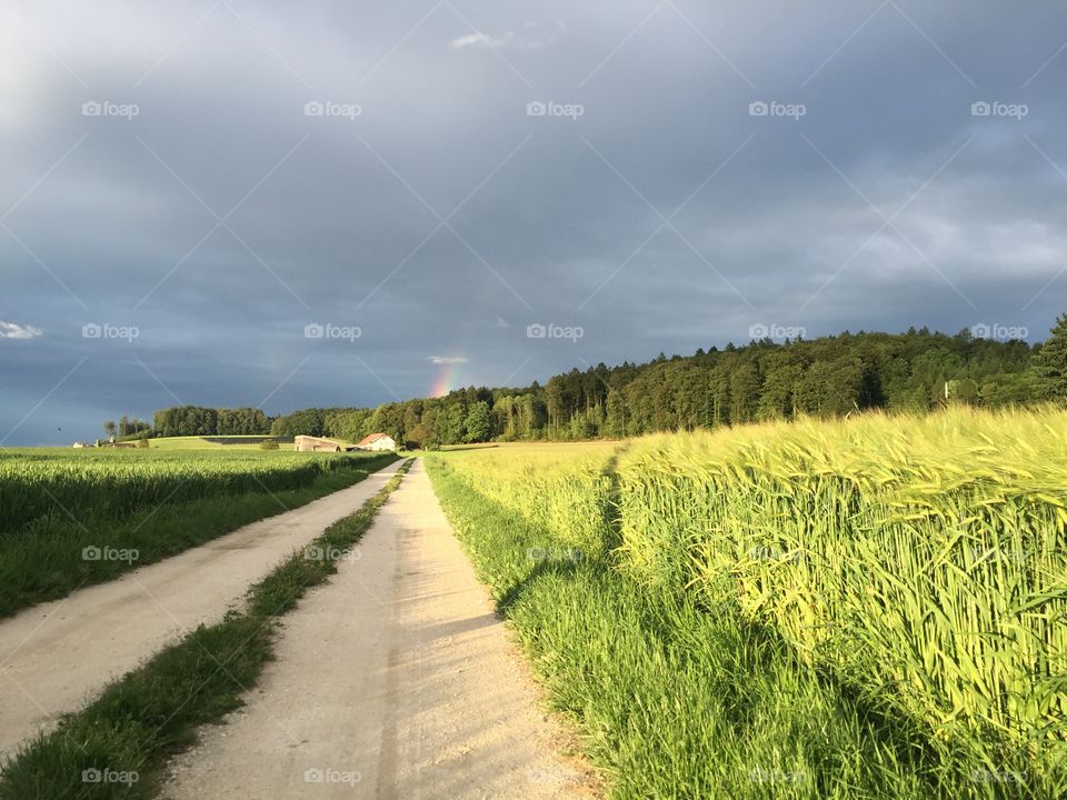 No Person, Rural, Landscape, Countryside, Nature