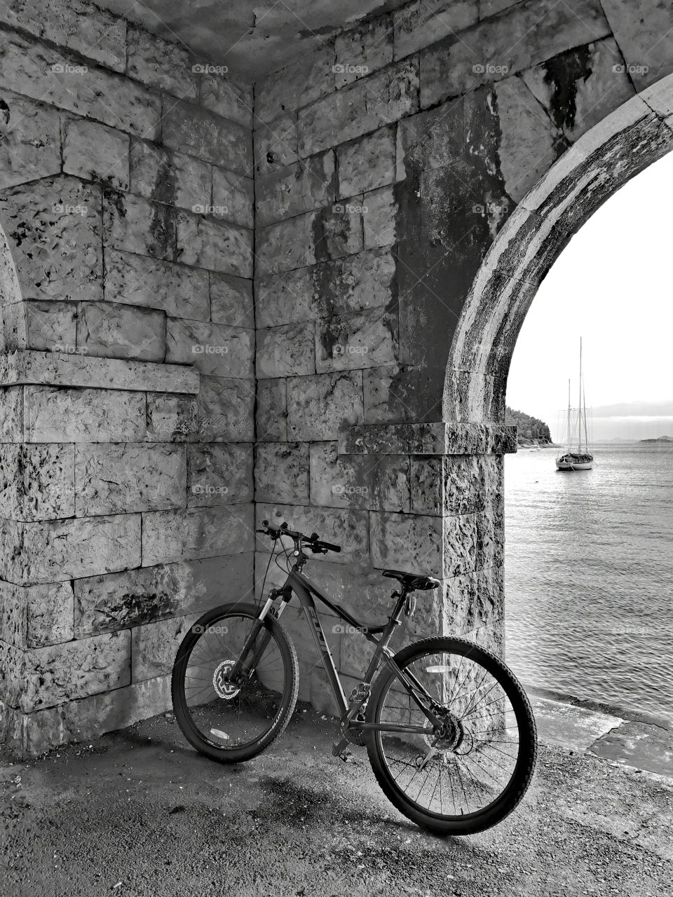 Bicikl in black and white