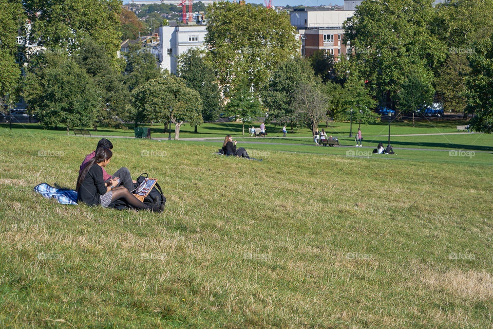 Autumn at the Park