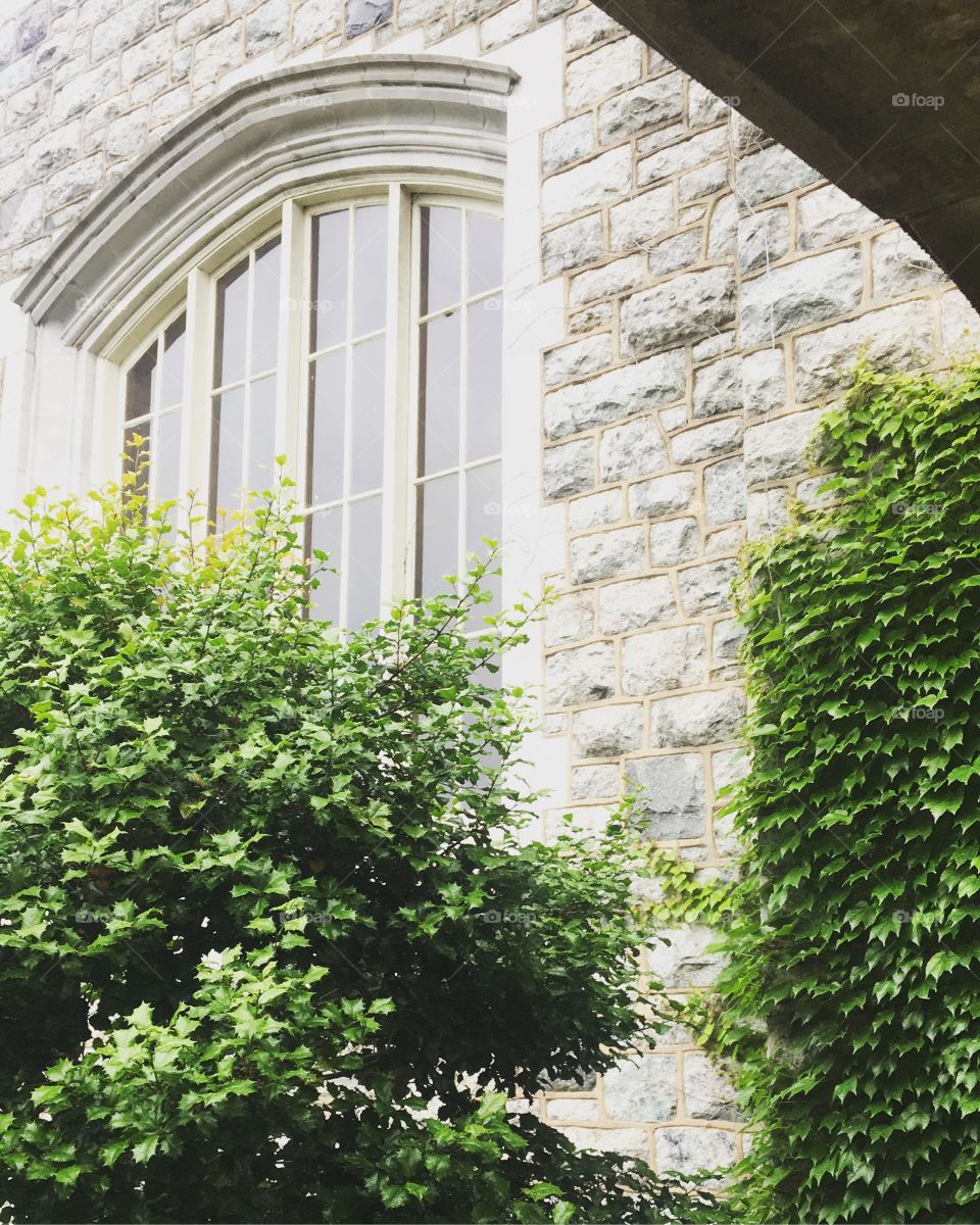 Train Station, New Jersey