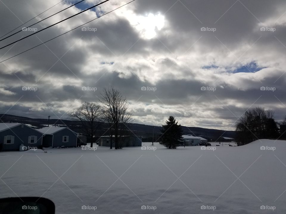 landscape in contrast