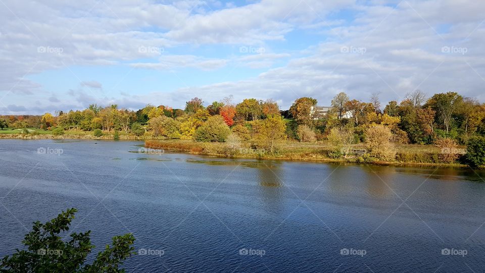Riverside view autumn