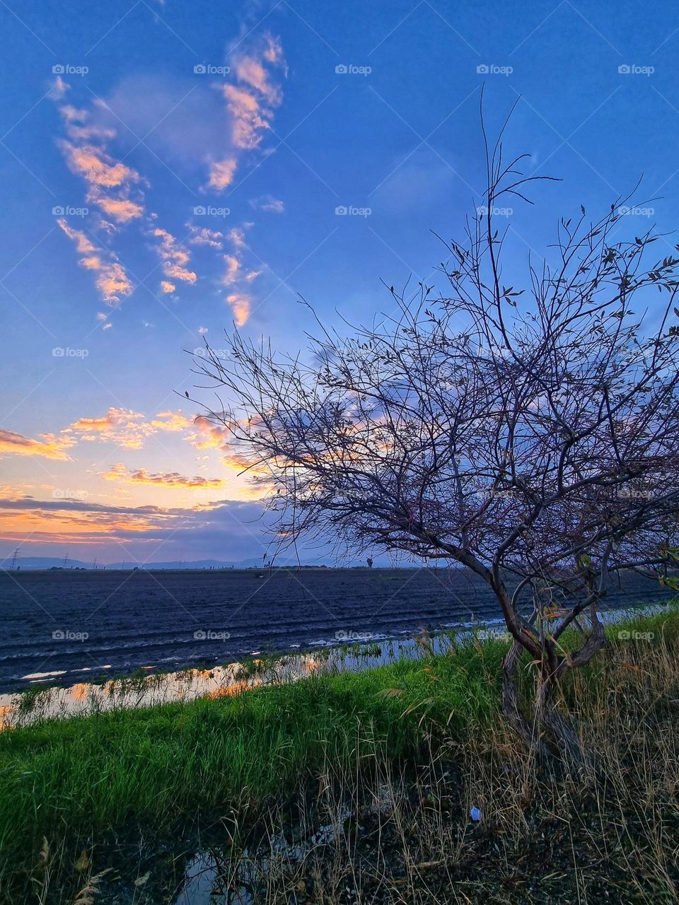 agriculture sunrise sunset sky clouds