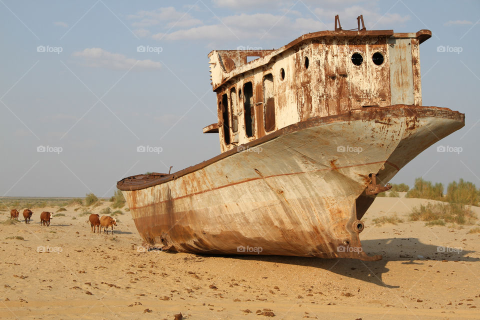 Aral Sea rusty boats