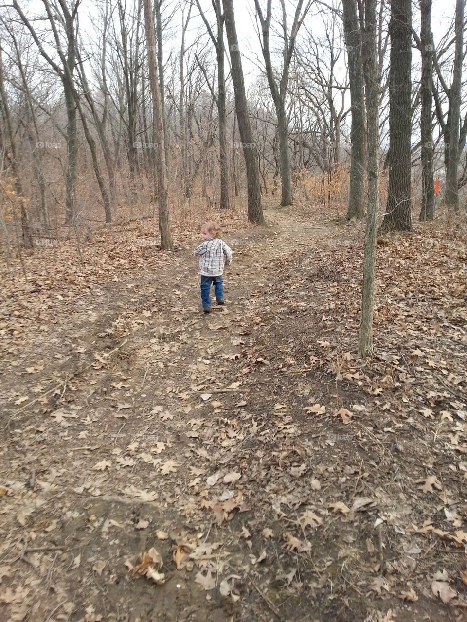 Toddler in the Woods