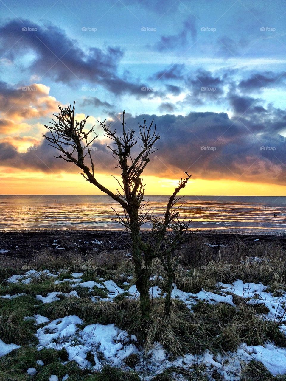 Sunset in Wintet