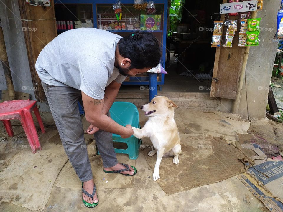 dog and its master handshaking