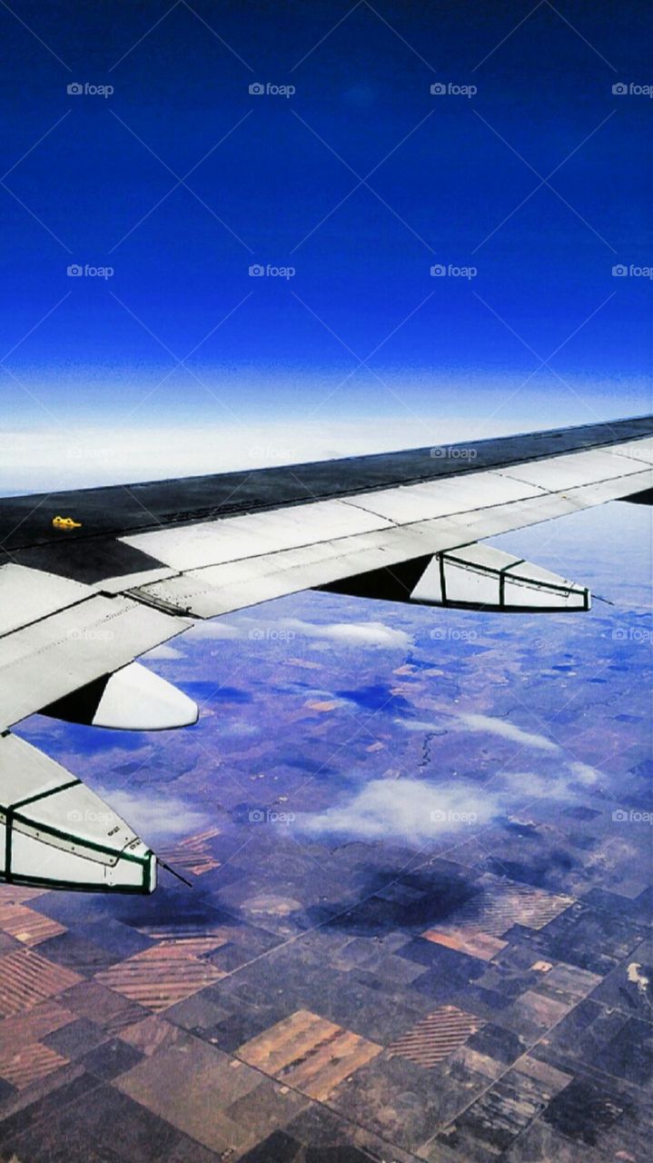 Flying in a clear blue sky