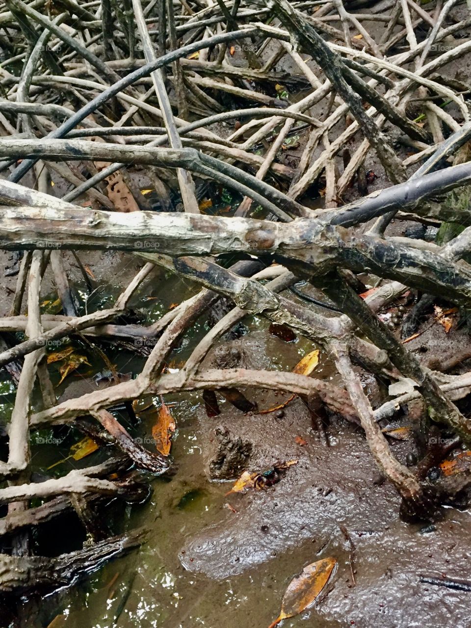 Don’t shy away when the world is at your feet :)