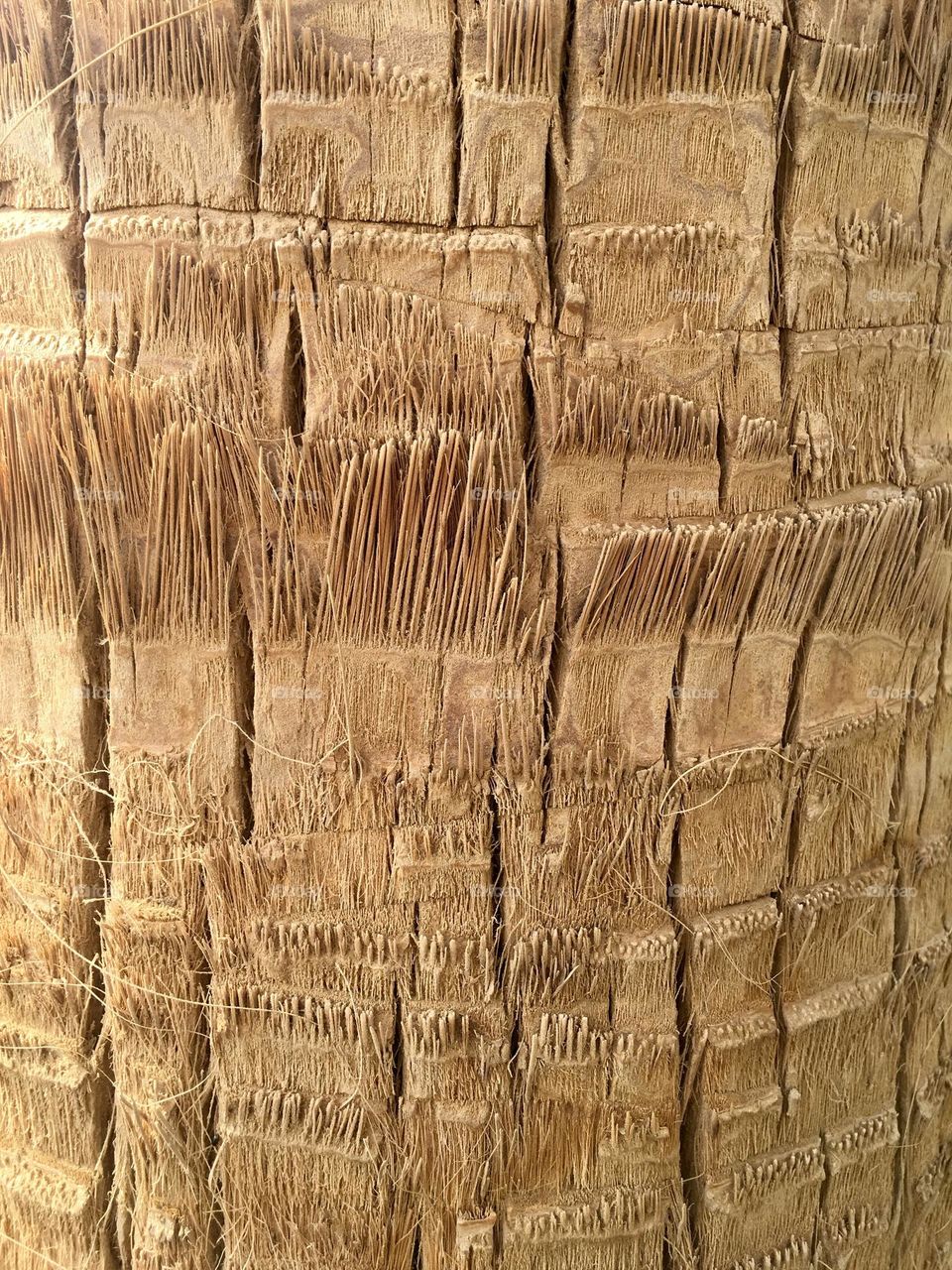 Neutral color and texture