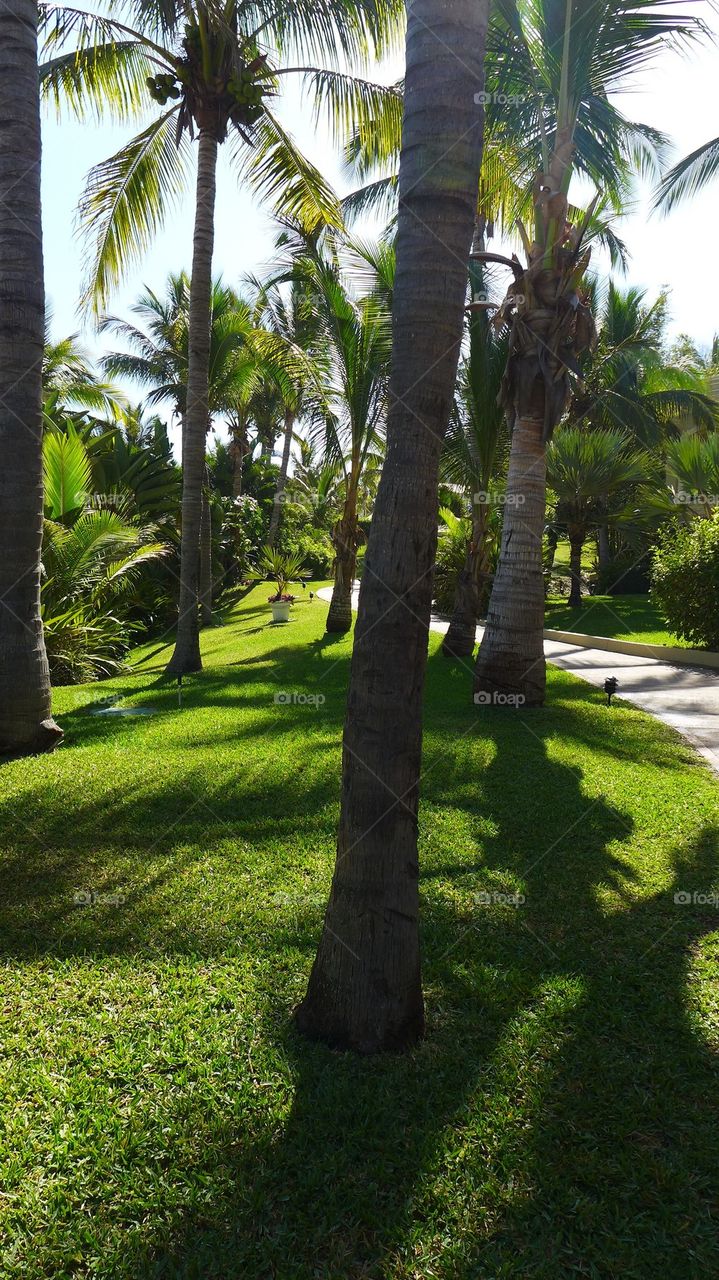 Pueblo Bonito resort and spa